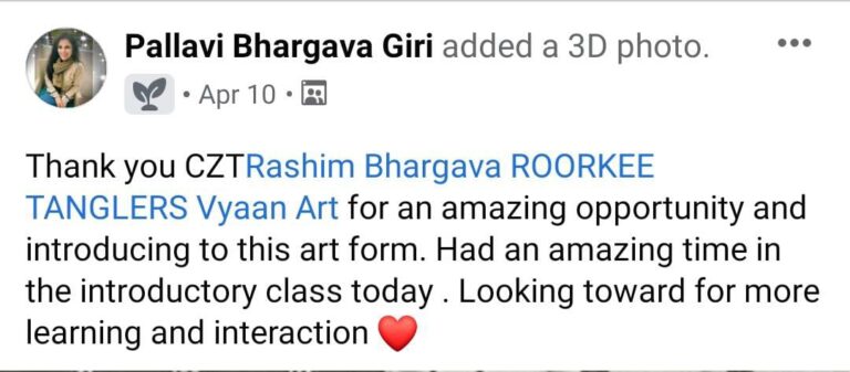Vyan Art Testimonial 3